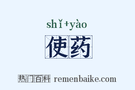 使药是什么意思的图片